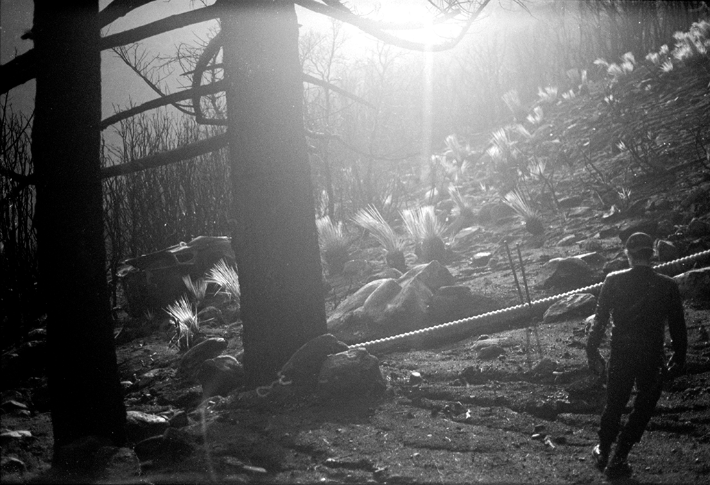 Film photo 5